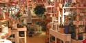 China Blue Shop