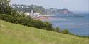 Shaldon