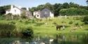Knowle Farm gardens