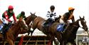 Newton Abbot Races