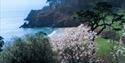 Venus Beach Company - Blackpool Sands