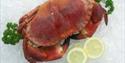 Britannia Shellfish Limited