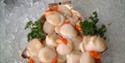 Britannia Shellfish Limited