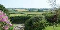 Higher Coarsewell Farm