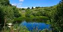 The wildlife pond