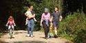 Haldon Forest Park