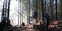 Haldon Forest Park Cycling