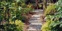 Hillhead Farm Garden