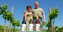 Kenton Vineyard, South Devon