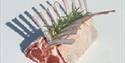 Devon Meat Company