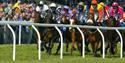 Newton Abbot Racing