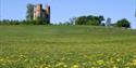 Powderham Castle folly