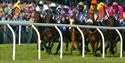 Newton Abbot races