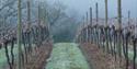 Sharpham Vineyard and Cheese Dairy