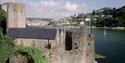 Dartmouth Castle