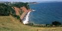 South West Coastal Path in Shaldon