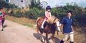 Traine Farm Cottages