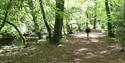 Ivybridge Walking & Outdoor Festival