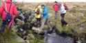 Ivybridge Walking & Outdoor Festival