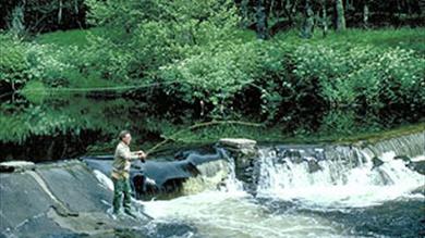 Thumbnail for River Dart Adventures