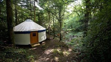 Yurt Camp Devon
