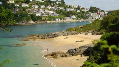 Thumbnail for East Portlemouth Beaches