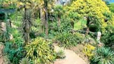 Thumbnail for Overbecks Museum and Garden