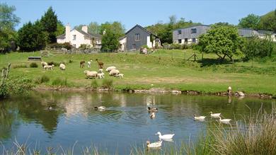 Knowle Farm