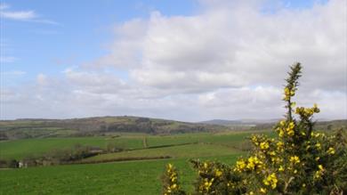 Thumbnail for Cultural Trails: Woodleigh to Topsham Bridge Horse Riding Route