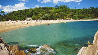 Thumbnail for Marine Secrets at Blackpool Sands