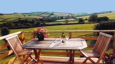 Bulleigh Park Farm Patio