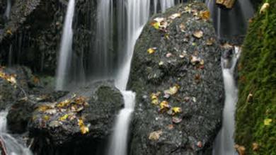 Thumbnail for Canonteign Falls
