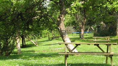 Garden, Coombeshead Farm, Chudleigh