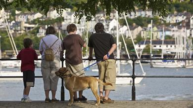 Dog-Friendly Deals