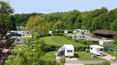 Dornafield