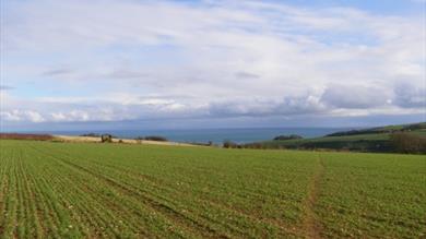Thumbnail for Cultural Trails: Torcross and Stokenham Walk