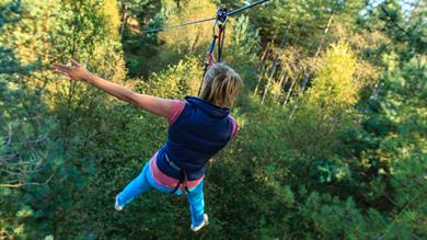 Go Ape Haldon Forest