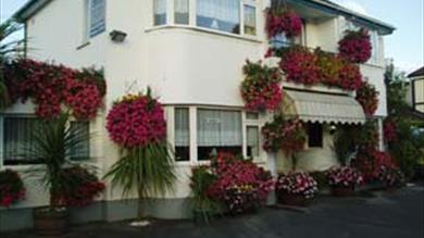 Thumbnail for Harewood Guesthouse