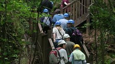 Thumbnail for Guided Walks
