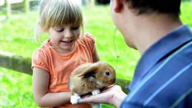 South Devon Father's Day Deals