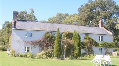 Dream Cottages