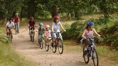 2013 Attractions & Activities Offers