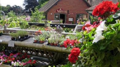 Thumbnail for Powderham Country Store & Restaurant