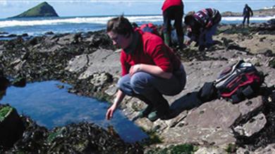 Thumbnail for Rockpool Ramble over an exposed shore