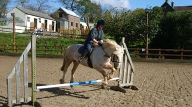Thumbnail for Fitzworthy Riding School