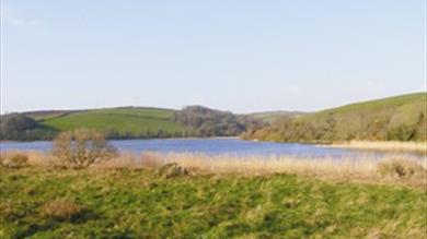 Thumbnail for Walk and Talk across Slapton