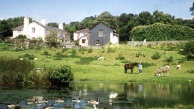 Thumbnail for Knowle Farm