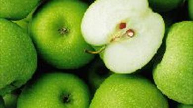 Thumbnail for Marldon Apple Pie Fair