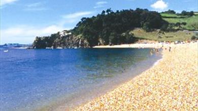 Thumbnail for Venus Café & Shop - Blackpool Sands