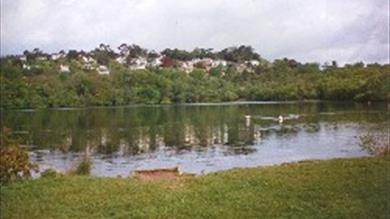 Decoy Country Park